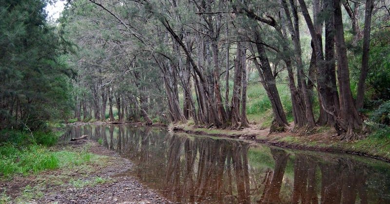 Escapade romantique camping en bord de rivière : le guide parfait